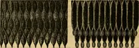 An illustration from Catalogue no. 52. (1886)