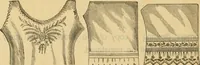 An illustration from Catalogue no. 52. (1886)