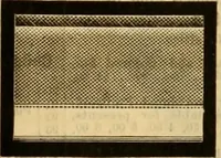An illustration from Catalogue no. 52. (1886)