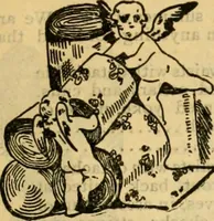 An illustration from Catalogue no. 96 : dry goods, clothing, boots and shoes, hats and caps, ladies' and gents' furnishing goods, crockery, etc., etc., bought at sheriffs', receivers', and trustees' sales. (1899)
