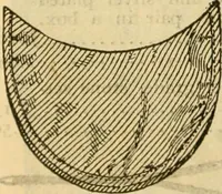Picture 37 of 144 from Catalogue no. 96 : dry goods, clothing, boots and shoes, hats and caps, ladies' and gents' furnishing goods, crockery, etc., etc., bought at sheriffs', receivers', and trustees' sales. (1899), leaf 25