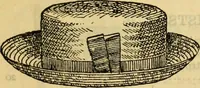 An illustration from Catalogue no. 96 : dry goods, clothing, boots and shoes, hats and caps, ladies' and gents' furnishing goods, crockery, etc., etc., bought at sheriffs', receivers', and trustees' sales. (1899)