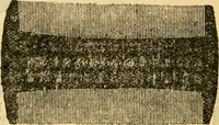 An illustration from Catalogue no. 96 : dry goods, clothing, boots and shoes, hats and caps, ladies' and gents' furnishing goods, crockery, etc., etc., bought at sheriffs', receivers', and trustees' sales. (1899)