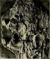 Picture 294 of 700 from Catalogue of plaster reproductions from antique, medieval and modern sculpture : subjects suitable for schools, libraries, and homes. (1911), leaf 100