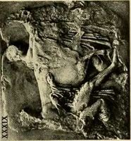 An illustration from Catalogue of plaster reproductions from antique, medieval and modern sculpture : subjects suitable for schools, libraries, and homes. (1911)