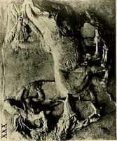Picture 297 of 700 from Catalogue of plaster reproductions from antique, medieval and modern sculpture : subjects suitable for schools, libraries, and homes. (1911), leaf 100