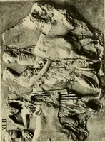 An illustration from Catalogue of plaster reproductions from antique, medieval and modern sculpture : subjects suitable for schools, libraries, and homes. (1911)