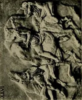 An illustration from Catalogue of plaster reproductions from antique, medieval and modern sculpture : subjects suitable for schools, libraries, and homes. (1911)