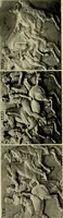 Picture 313 of 700 from Catalogue of plaster reproductions from antique, medieval and modern sculpture : subjects suitable for schools, libraries, and homes. (1911), leaf 102