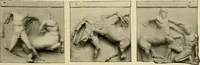 An illustration from Catalogue of plaster reproductions from antique, medieval and modern sculpture : subjects suitable for schools, libraries, and homes. (1911)
