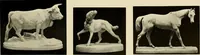 An illustration from Catalogue of plaster reproductions from antique, medieval and modern sculpture : subjects suitable for schools, libraries, and homes. (1911)