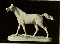 An illustration from Catalogue of plaster reproductions from antique, medieval and modern sculpture : subjects suitable for schools, libraries, and homes. (1911)