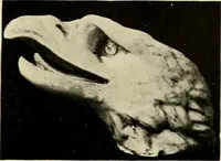 An illustration from Catalogue of plaster reproductions from antique, medieval and modern sculpture : subjects suitable for schools, libraries, and homes. (1911)
