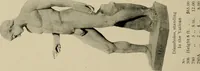 An illustration from Catalogue of plaster reproductions from antique, medieval and modern sculpture : subjects suitable for schools, libraries, and homes. (1911)