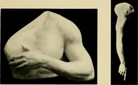 An illustration from Catalogue of plaster reproductions from antique, medieval and modern sculpture : subjects suitable for schools, libraries, and homes. (1911)