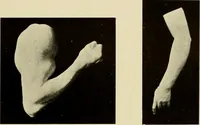 An illustration from Catalogue of plaster reproductions from antique, medieval and modern sculpture : subjects suitable for schools, libraries, and homes. (1911)