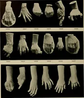 An illustration from Catalogue of plaster reproductions from antique, medieval and modern sculpture : subjects suitable for schools, libraries, and homes. (1911)