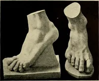 An illustration from Catalogue of plaster reproductions from antique, medieval and modern sculpture : subjects suitable for schools, libraries, and homes. (1911)