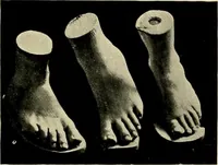 Picture 574 of 700 from Catalogue of plaster reproductions from antique, medieval and modern sculpture : subjects suitable for schools, libraries, and homes. (1911), leaf 188