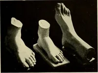 Picture 575 of 700 from Catalogue of plaster reproductions from antique, medieval and modern sculpture : subjects suitable for schools, libraries, and homes. (1911), leaf 188