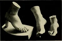An illustration from Catalogue of plaster reproductions from antique, medieval and modern sculpture : subjects suitable for schools, libraries, and homes. (1911)