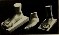 An illustration from Catalogue of plaster reproductions from antique, medieval and modern sculpture : subjects suitable for schools, libraries, and homes. (1911)