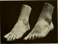 An illustration from Catalogue of plaster reproductions from antique, medieval and modern sculpture : subjects suitable for schools, libraries, and homes. (1911)