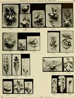 An illustration from Catalogue of plaster reproductions from antique, medieval and modern sculpture : subjects suitable for schools, libraries, and homes. (1911)