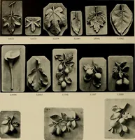 An illustration from Catalogue of plaster reproductions from antique, medieval and modern sculpture : subjects suitable for schools, libraries, and homes. (1911)