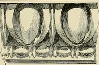 An illustration from Catalogue of plaster reproductions from antique, medieval and modern sculpture : subjects suitable for schools, libraries, and homes. (1911)
