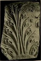 An illustration from Catalogue of plaster reproductions from antique, medieval and modern sculpture : subjects suitable for schools, libraries, and homes. (1911)