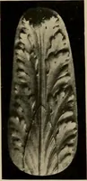 An illustration from Catalogue of plaster reproductions from antique, medieval and modern sculpture : subjects suitable for schools, libraries, and homes. (1911)