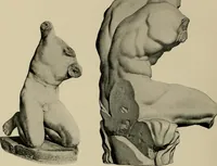 Picture 37 of 700 from Catalogue of plaster reproductions from antique, medieval and modern sculpture : subjects suitable for schools, libraries, and homes. (1911), leaf 23