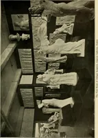 An illustration from Catalogue of plaster reproductions from antique, medieval and modern sculpture : subjects suitable for schools, libraries, and homes. (1911)