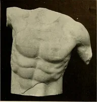 An illustration from Catalogue of plaster reproductions from antique, medieval and modern sculpture : subjects suitable for schools, libraries, and homes. (1911)