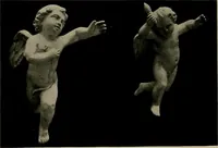 An illustration from Catalogue of plaster reproductions from antique, medieval and modern sculpture : subjects suitable for schools, libraries, and homes. (1911)