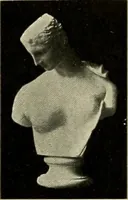 An illustration from Catalogue of plaster reproductions from antique, medieval and modern sculpture : subjects suitable for schools, libraries, and homes. (1911)