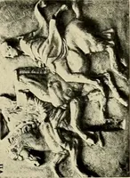 An illustration from Catalogue of plaster reproductions from antique, medieval and modern sculpture : subjects suitable for schools, libraries, and homes. (1911)