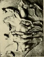 An illustration from Catalogue of plaster reproductions from antique, medieval and modern sculpture : subjects suitable for schools, libraries, and homes. (1911)