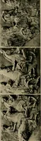 An illustration from Catalogue of plaster reproductions from antique, medieval and modern sculpture : subjects suitable for schools, libraries, and homes. (1911)