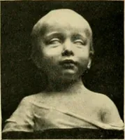 An illustration from Catalogue of A. Da Prato and Co. : importers and manufacturers of plaster cast reproductions from antique, medieval, and modern sculpture : subjects of every description for art schools : edition of 1900. (1900)