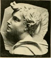 An illustration from Catalogue of A. Da Prato and Co. : importers and manufacturers of plaster cast reproductions from antique, medieval, and modern sculpture : subjects of every description for art schools : edition of 1900. (1900)