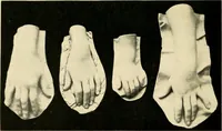 An illustration from Catalogue of A. Da Prato and Co. : importers and manufacturers of plaster cast reproductions from antique, medieval, and modern sculpture : subjects of every description for art schools : edition of 1900. (1900)