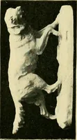 An illustration from Catalogue of A. Da Prato and Co. : importers and manufacturers of plaster cast reproductions from antique, medieval, and modern sculpture : subjects of every description for art schools : edition of 1900. (1900)