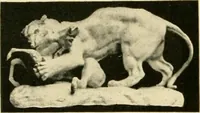 An illustration from Catalogue of A. Da Prato and Co. : importers and manufacturers of plaster cast reproductions from antique, medieval, and modern sculpture : subjects of every description for art schools : edition of 1900. (1900)