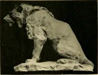 An illustration from Catalogue of A. Da Prato and Co. : importers and manufacturers of plaster cast reproductions from antique, medieval, and modern sculpture : subjects of every description for art schools : edition of 1900. (1900)