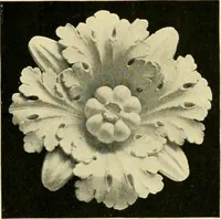 An illustration from Catalogue of A. Da Prato and Co. : importers and manufacturers of plaster cast reproductions from antique, medieval, and modern sculpture : subjects of every description for art schools : edition of 1900. (1900)