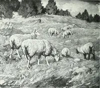 An illustration from Catalogue of the Forty-Ninth annual exhibition of the Ontario Society of Artists (1921)