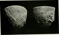 Picture 33 of 51 from Catalogue of Arretine pottery (1916), leaf 166