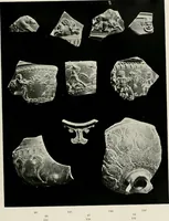 An illustration from Catalogue of Arretine pottery (1916)